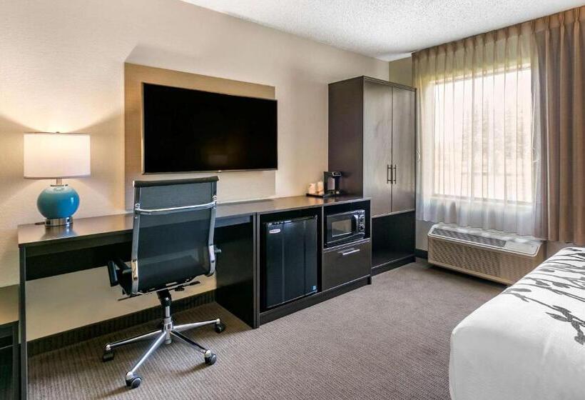 身障者適用スタンダードルーム, Sleep Inn Allentown Fogelsville