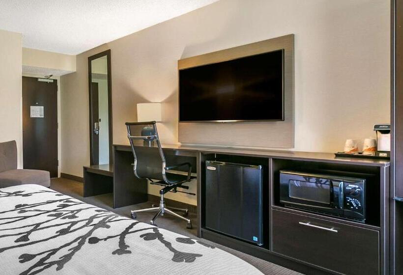 身障者適用スタンダードルーム, Sleep Inn Allentown Fogelsville