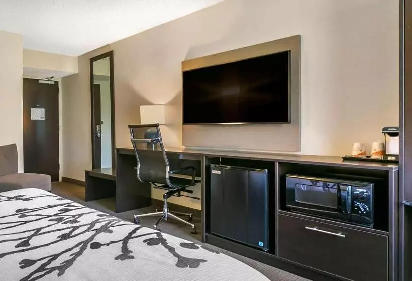 اتاق استاندارد برای معلولان, Sleep Inn Allentown Fogelsville