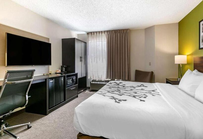 キングサイズベッドのスタンダードルーム, Sleep Inn Allentown Fogelsville