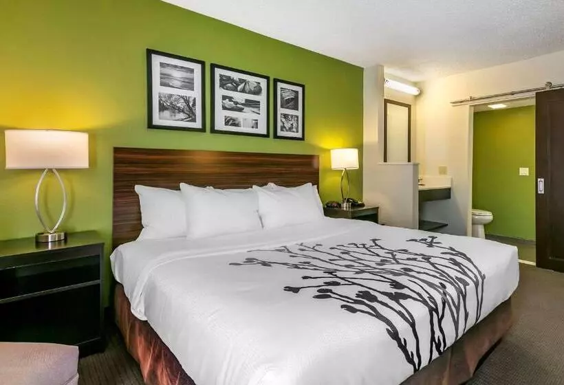 اتاق استاندارد با تخت بزرگ, Sleep Inn Allentown Fogelsville