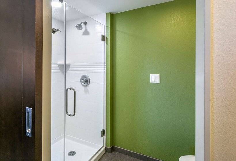 ２ダブルベッドのスタンダードルーム, Sleep Inn Allentown Fogelsville