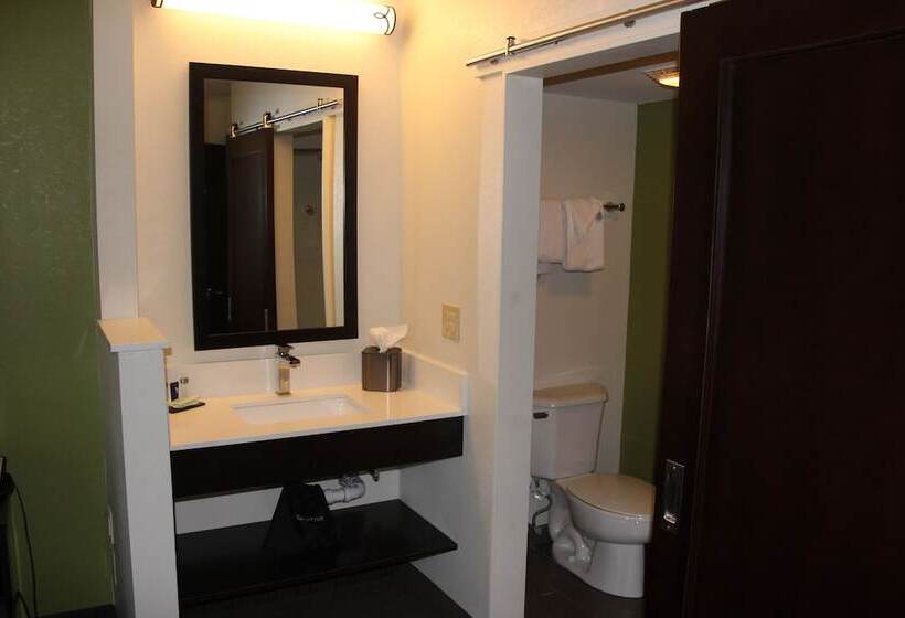 ２ダブルベッドのスタンダードルーム, Sleep Inn Allentown Fogelsville