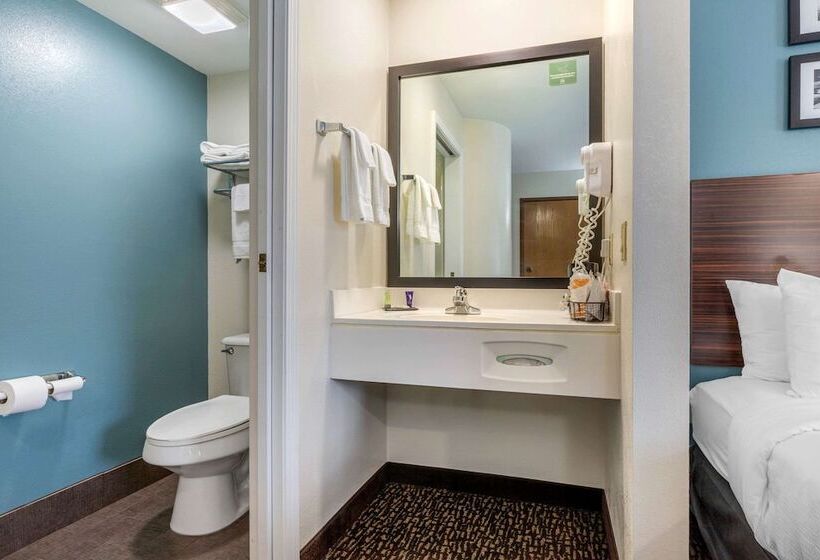 غرفه قياسيه سريرين مزدوجين, Sleep Inn & Suites