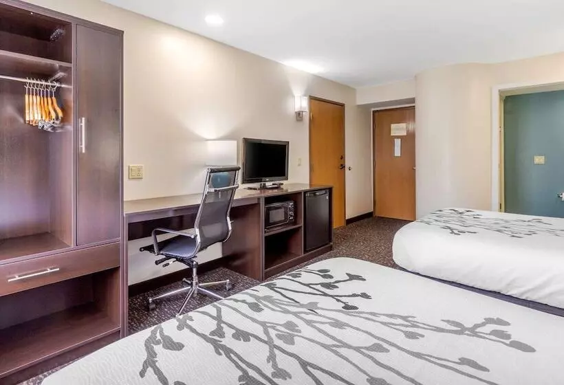 2ダブルベッドのスタンダードルーム, Sleep Inn & Suites