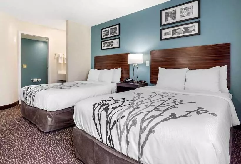 2ダブルベッドのスタンダードルーム, Sleep Inn & Suites