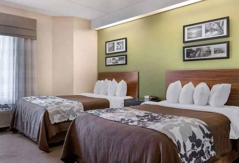 ２ダブルベッドのスタンダードルーム, Sleep Inn Carlisle South