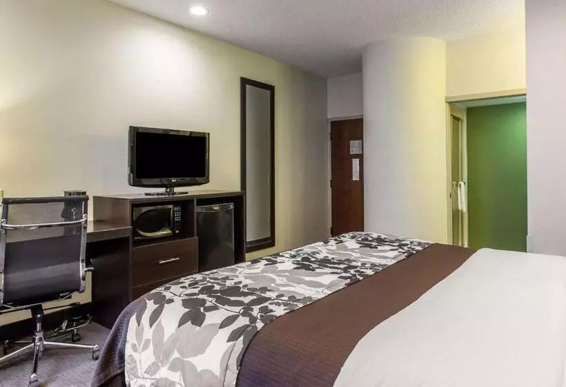 キングサイズベッドのスタンダードルーム, Sleep Inn Columbia