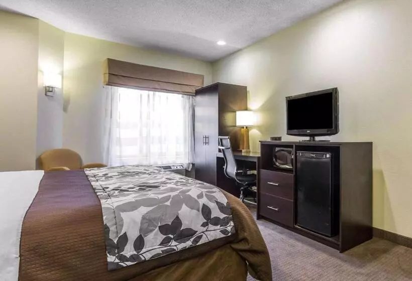 キングサイズベッドのスタンダードルーム, Sleep Inn Columbia