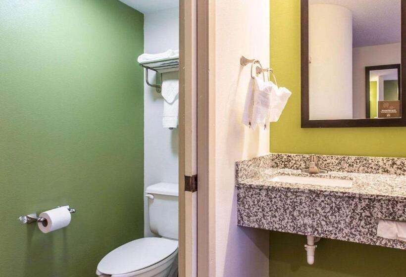带大床的标准间, Sleep Inn Columbia