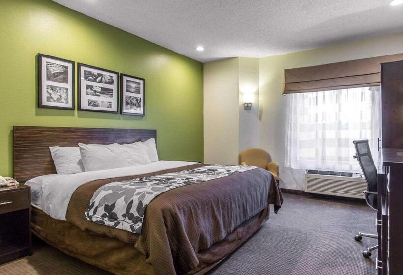 اتاق استاندارد با تخت بزرگ, Sleep Inn Columbia