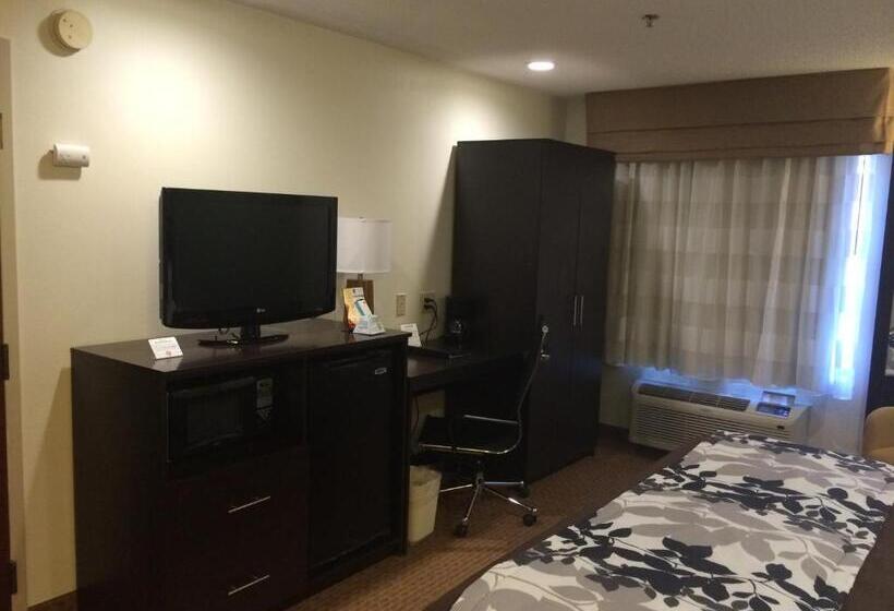 带2个双人床的标准工作室, Sleep Inn Columbia