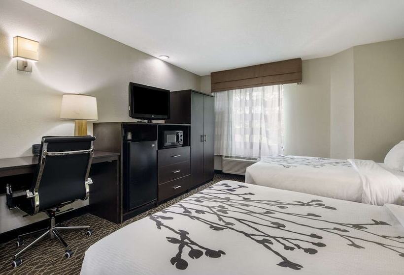 غرفه قياسيه سريرين مزدوجين, Sleep Inn Hanes Mall