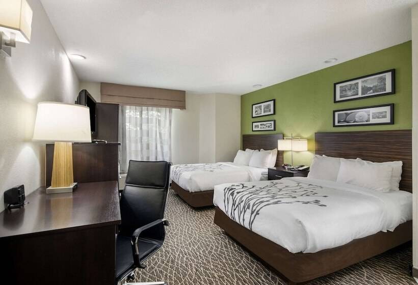 带2个双人床的标准工作室, Sleep Inn Hanes Mall