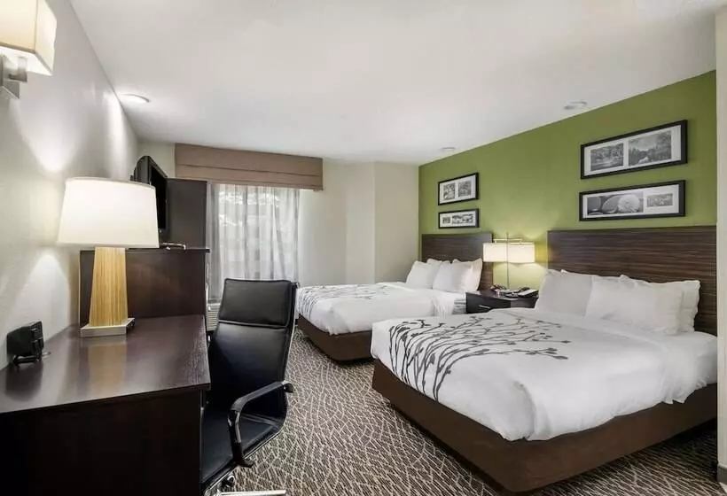 ２ダブルベッドのスタンダードルーム, Sleep Inn Hanes Mall