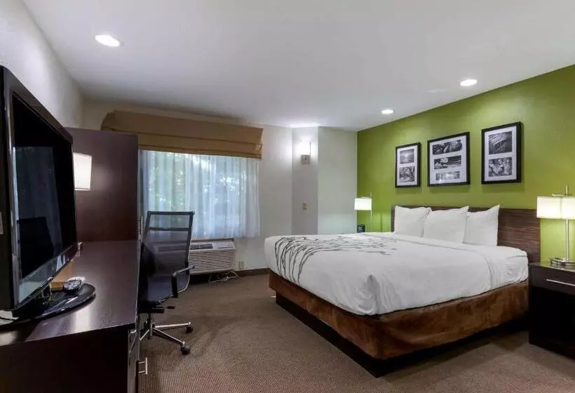 キングサイズベッドのスタンダードルーム, Sleep Inn