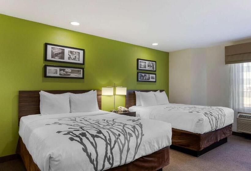 스탠다드 룸, Sleep Inn