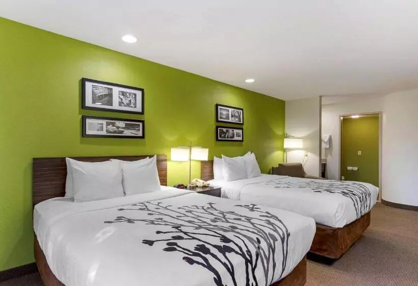 スイート, Sleep Inn
