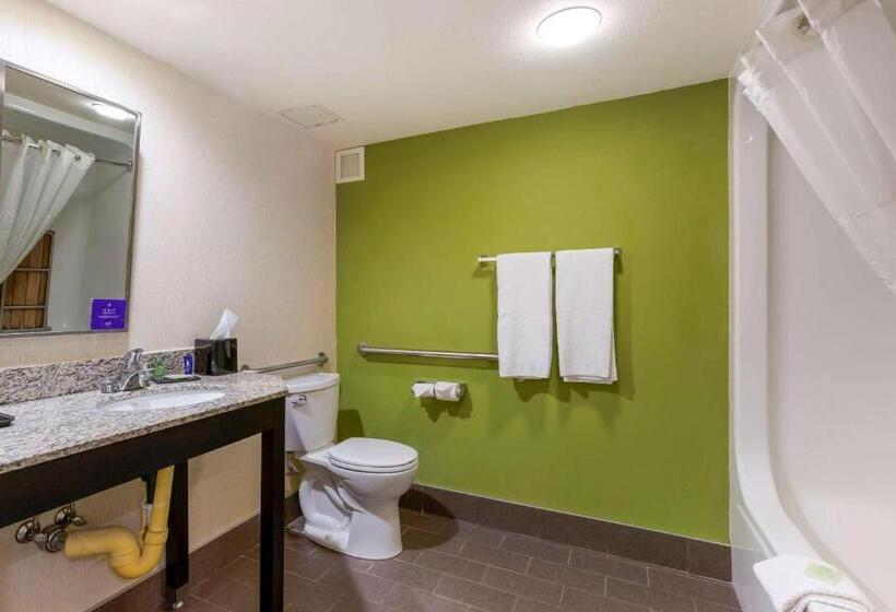 장애인을 위한 킹사이즈 침대 스탠다드 룸, Sleep Inn