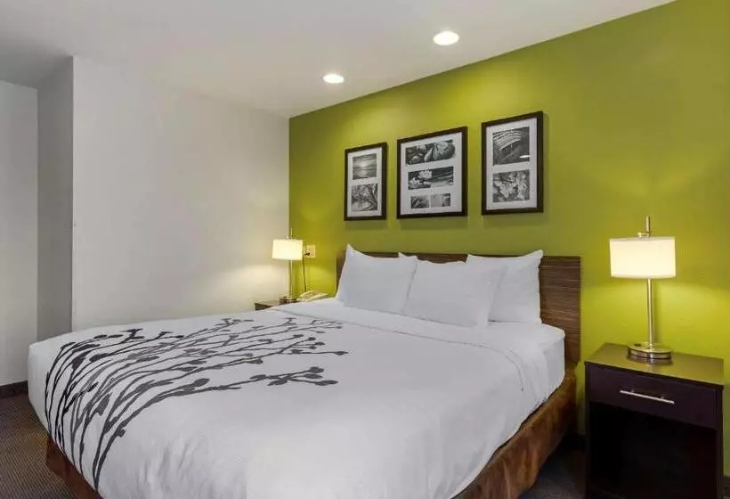 身障者適用キングサイズベッドルーム, Sleep Inn
