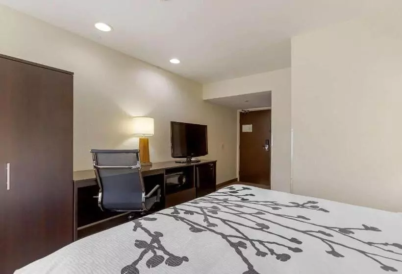 身障者適用スタンダードルーム, Sleep Inn