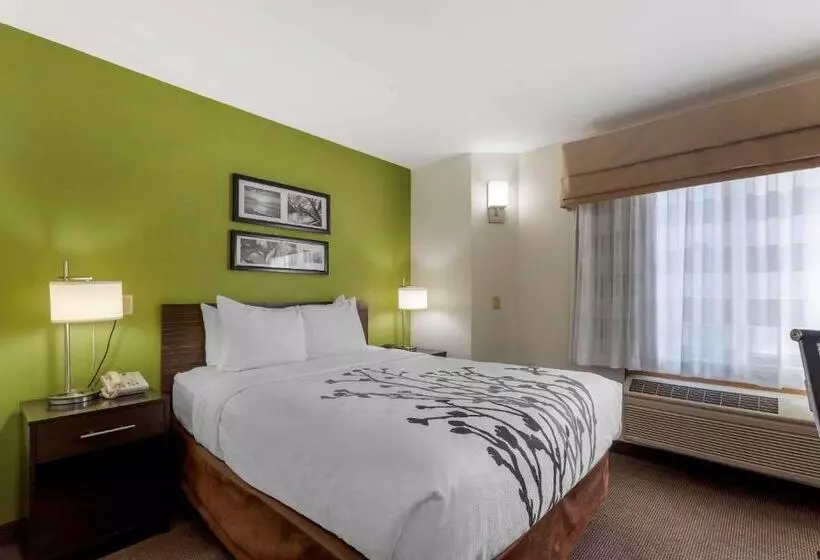 身障者適用スタンダードルーム, Sleep Inn