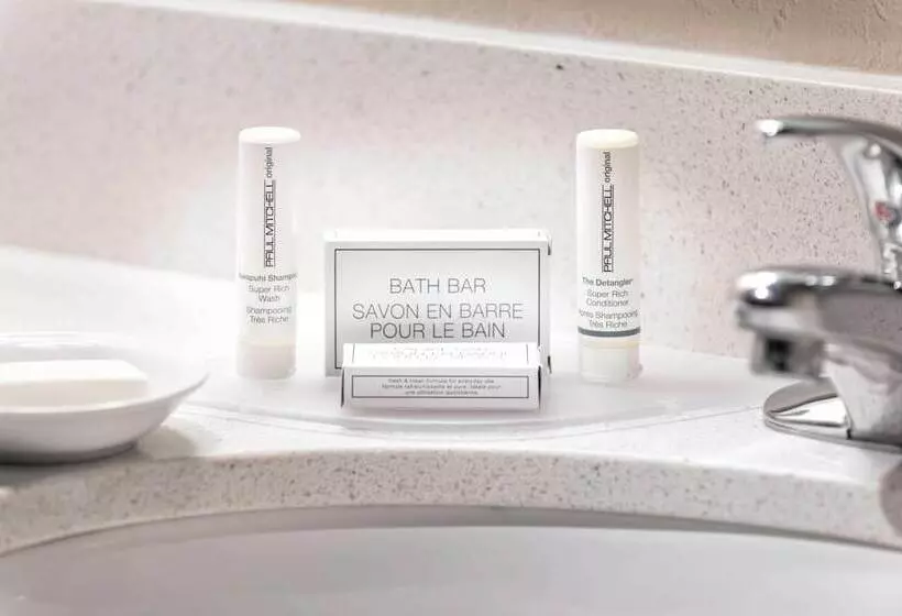 スイート, Springhill Suites By Marriott Bentonville