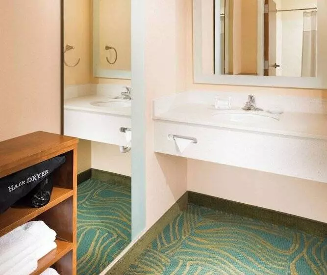 スイート, Springhill Suites By Marriott Bentonville