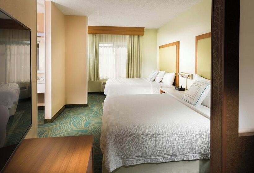 سوییت, Springhill Suites By Marriott Bentonville