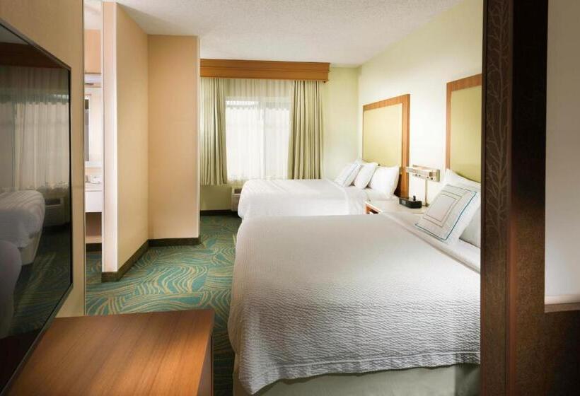 سوییت, Springhill Suites By Marriott Bentonville