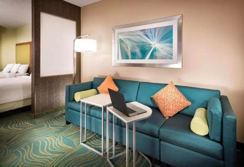 キングサイズベッドのスイートルーム, Springhill Suites By Marriott Bentonville