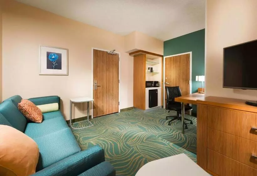 キングサイズベッドのスイートルーム, Springhill Suites By Marriott Bentonville