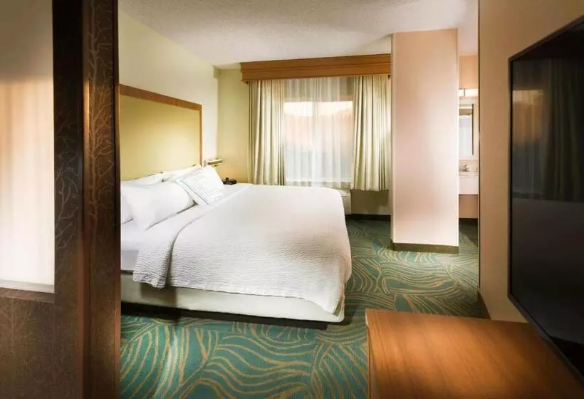 身障者適用スイートルーム, Springhill Suites By Marriott Bentonville