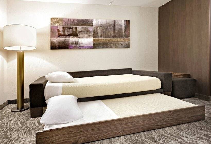 جناح, Springhill Suites Phoenix Glendale/peoria