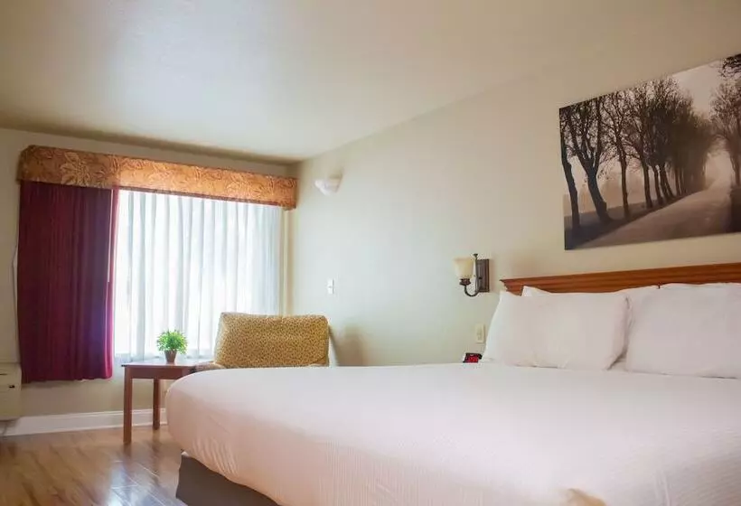 キングサイズベッドのスタンダードルーム, Stratford Inn