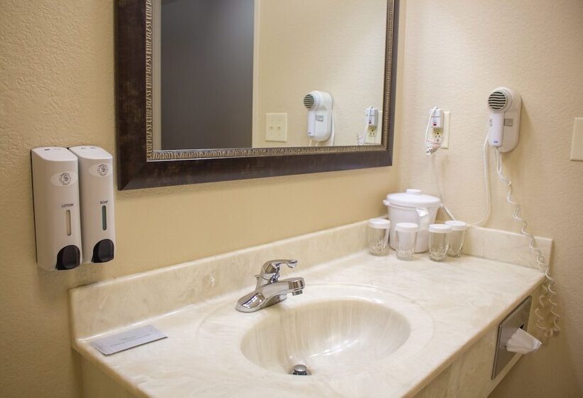 غرفة قياسية سرير كينج, Stratford Inn