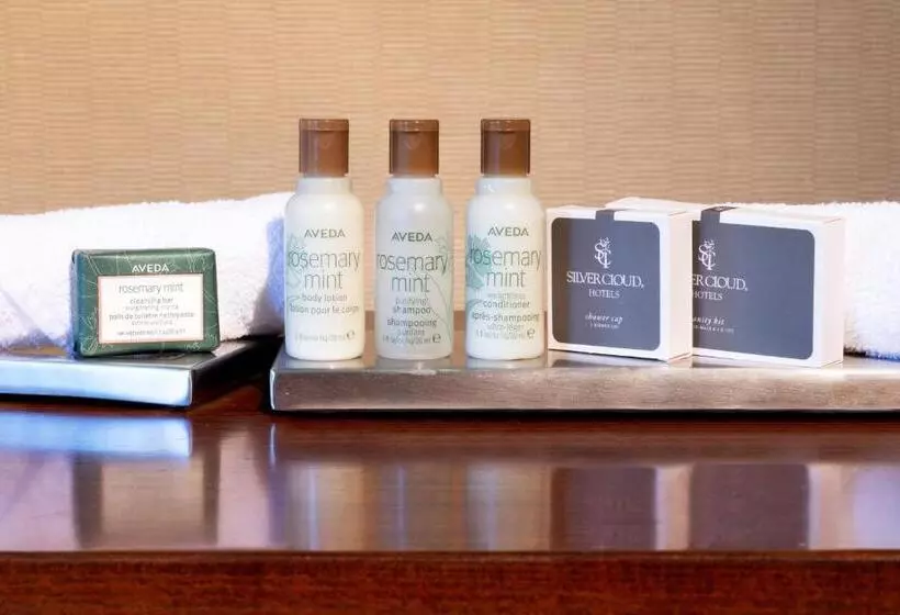 キングサイズベッドのスタンダードルーム, Silver Cloud Hotel   Seattle University Of Washington District