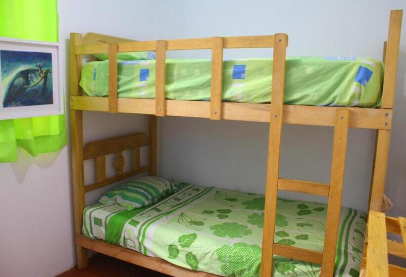 共用房间的床, Urcia Surf House