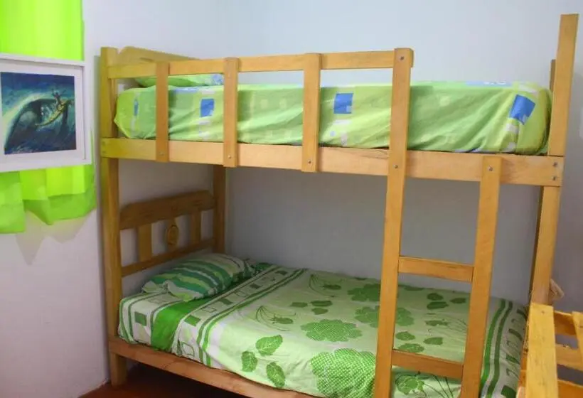 تختخواب در اتاق مشترک, Urcia Surf House