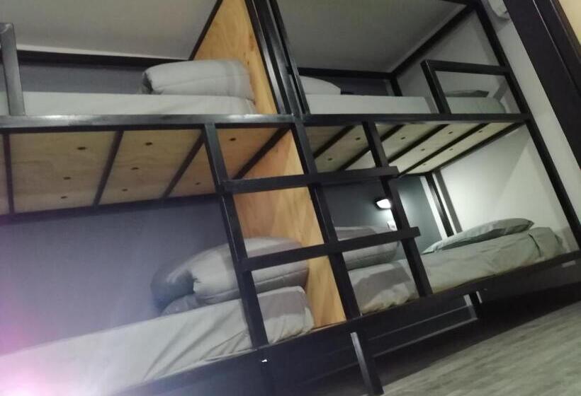 Четырехместный Номер Стандарт, Ruta Elqui