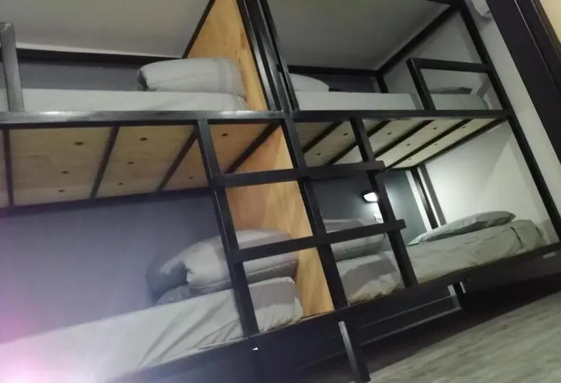 スタンダード４人部屋, Ruta Elqui