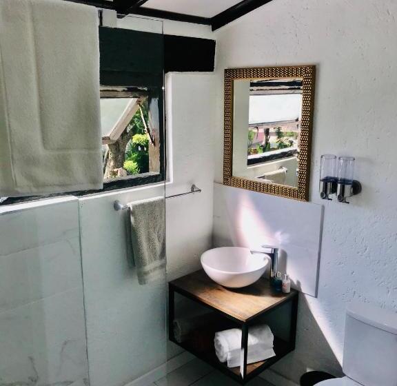 غرفة قياسية سرير كينج, 25 On Chrisoliet