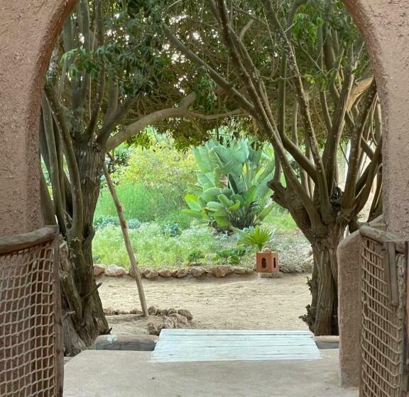 غرفة ديلوكس, Dar Tawarta Guest House Dakhla