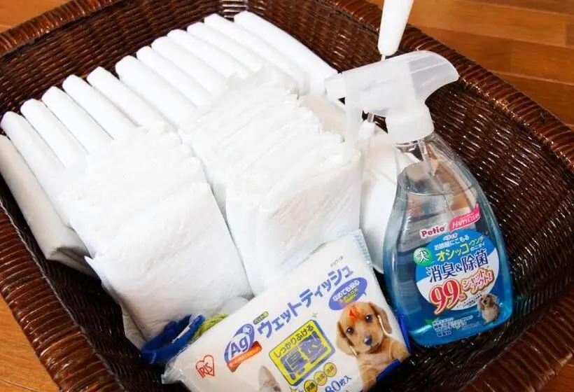 スタンダードルーム, Amis Droles