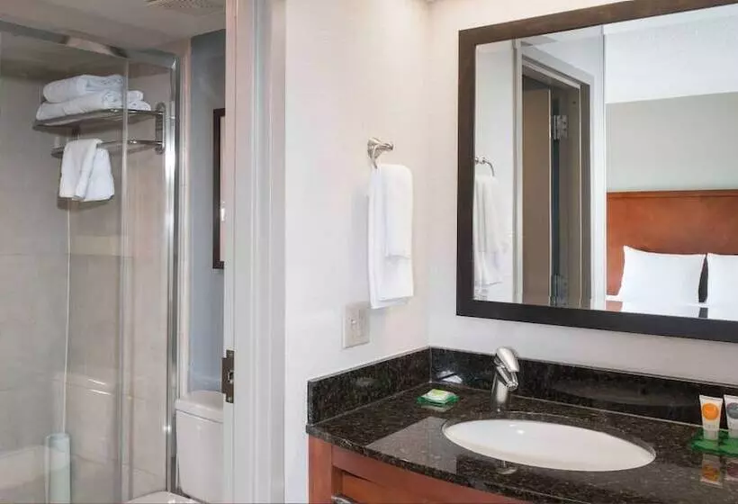 2ダブルベッドのスタンダードルーム, Hyatt Place Dallas Las Colinas