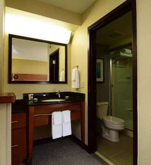 2ダブルベッドのスタンダードルーム, Hyatt Place Dallas Las Colinas