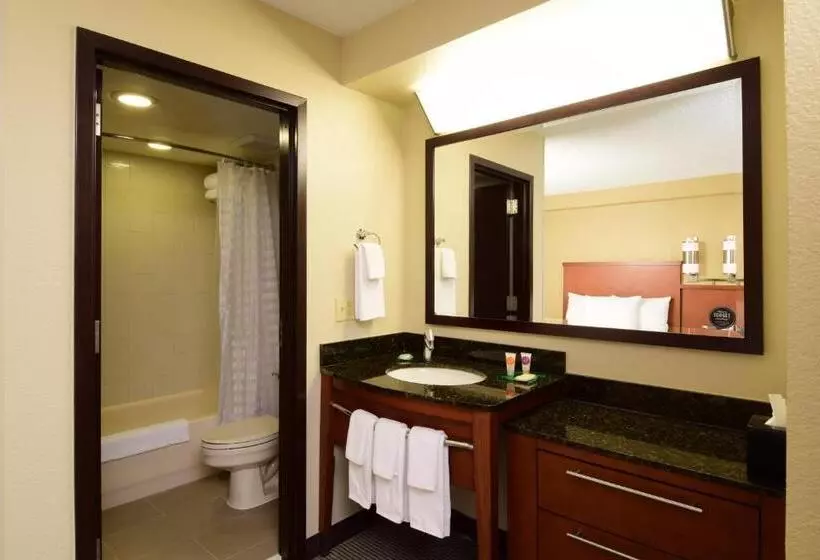 2ダブルベッドのスタンダードルーム, Hyatt Place Dallas Las Colinas