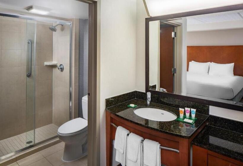 Стандартный Номер Кровать Кинг, Hyatt Place Dallas/north Arlington/grand Prairie