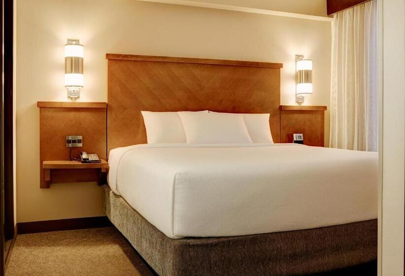 Номер Стандарт Кровать Кинг Адаптированный для Инвалидов, Hyatt Place Dallas/north Arlington/grand Prairie