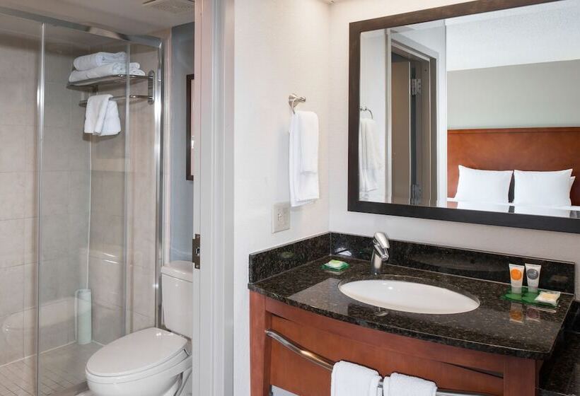 Номер Стандарт 2 Двуспальные Кровати, Hyatt Place Dallas/north Arlington/grand Prairie